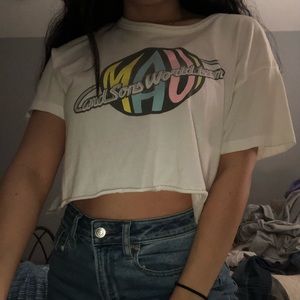 MAUI american eagle outfitters cropped tee